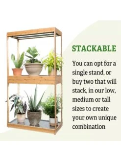 Medium Bamboo LED Grow Light Garden -Eco Garden Shop 8597883 6