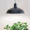 Barnyard Pendant LED Grow Light -Eco Garden Shop 8598025 8139 tif
