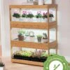 Bamboo LED Grow Light Garden For Succulents And Seeds -Eco Garden Shop 8598084 6i