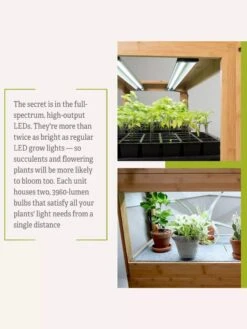 Bamboo LED Grow Light Garden For Succulents And Seeds -Eco Garden Shop 8598084 7