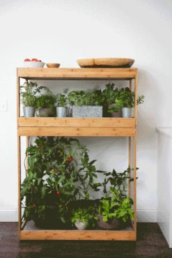 Bamboo Home LED Grow Light Garden 18 Bamboo Home LED Grow Light Garden -Eco Garden Shop 8598088 BambooLEDHomeGarden light gif