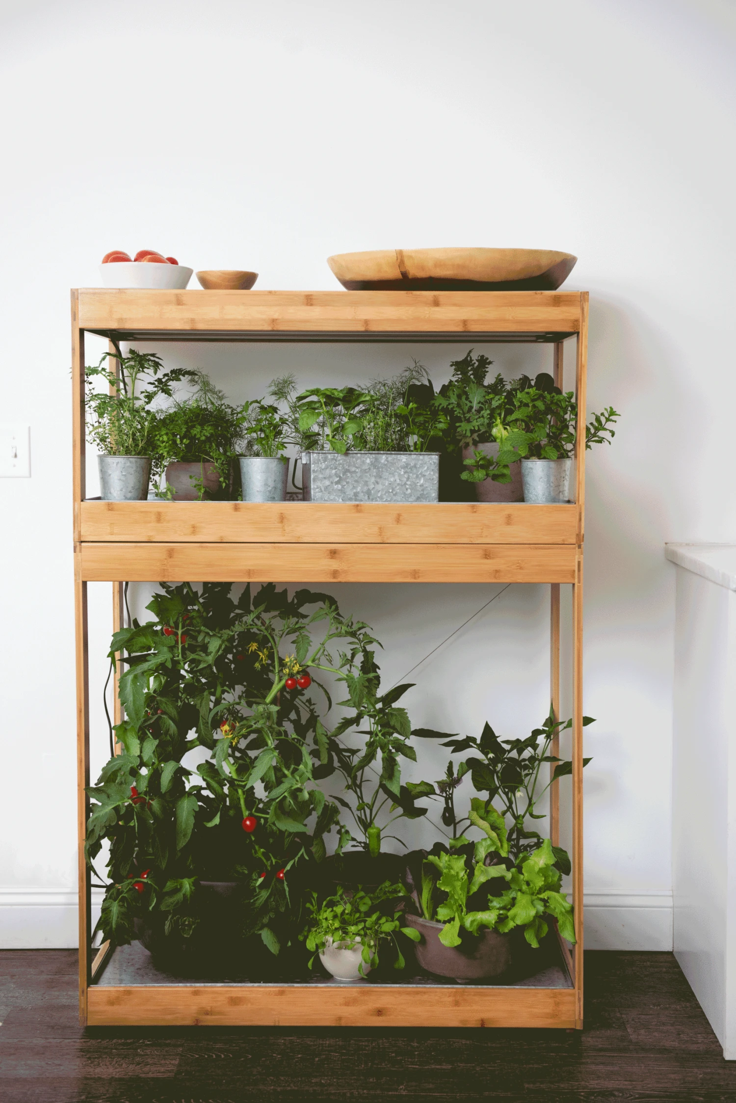 Bamboo Home LED Grow Light Garden 7 Bamboo Home LED Grow Light Garden - Image 5