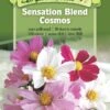 Sensation Blend Cosmos Organic Seeds -Eco Garden Shop 8598224 01V tif