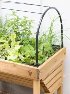 VegTrug® Mini Wallhugger Planter With Cover -Eco Garden Shop 8598339 4004 tif
