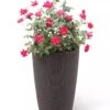 Weave Self-Watering Round Tall Planter, 12-1/2" -Eco Garden Shop 8598371 3000 tif