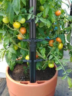 Gardener’s Victory Self-Watering Planter With Support System -Eco Garden Shop 8598384 01EMP tif 1