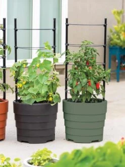 Gardener’s Victory Self-Watering Planter With Support System -Eco Garden Shop 8598384 06013 tif 1
