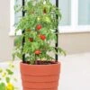 Gardener’s Victory Self-Watering Planter With Support System -Eco Garden Shop 8598384 6012 tif 1
