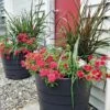 Gardener’s Victory Self-Watering Patio Planter -Eco Garden Shop 8598395 4390 tif
