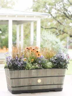 VegTrug™ Trough Planters -Eco Garden Shop 8598402 08880 tif