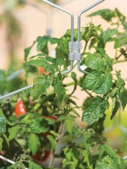 Gardener's Vertex Lifetime Tomato Cage 10 Gardener's Vertex Lifetime Tomato Cage -Eco Garden Shop 8598426 0011 tif