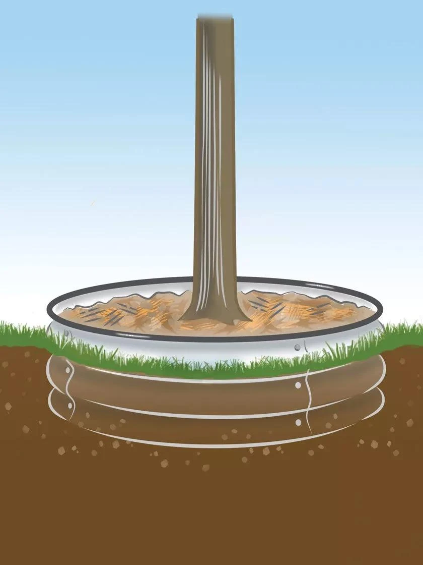 Tree Surround 6 Tree Surround - Image 4