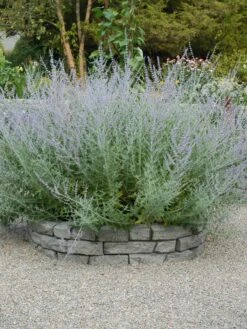 Rock Lock Interlocking Garden System, Curved Sets -Eco Garden Shop 8598737 04V tif