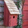 Heartwood Bluebird Bunkhouse Bird House