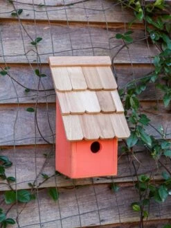 Heartwood Fruit Coops Bird House -Eco Garden Shop 8598856 04v
