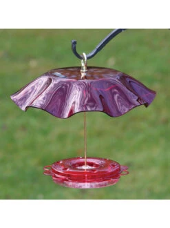 Birds Choice™ Hummingbird Nectar Feeder With Weather Guard Kit -Eco Garden Shop 8598910 01v