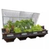 Vegepod Raised Garden Beds -Eco Garden Shop 8598931 02V