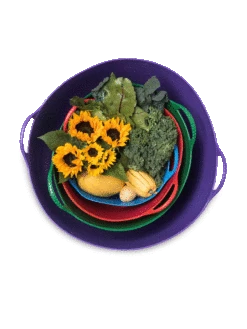 Colorful Tubtrug, 3-1/2 Gallon -Eco Garden Shop 8599088 20GalTubTrug gif 1