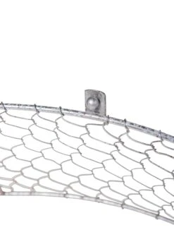 Chicken Wire Cloche With Extension -Eco Garden Shop 8599107 2293 tif