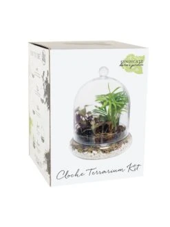 Cloche Terrarium Kit Medium -Eco Garden Shop 8599148 01v