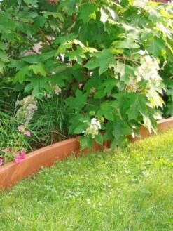 Curved Landscape Edging Kit With 2" Boards -Eco Garden Shop 8599407 03V tif