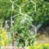 Gardener's Vertex Lifetime Pepper And Eggplant Cage -Eco Garden Shop 8599554 3000 tif
