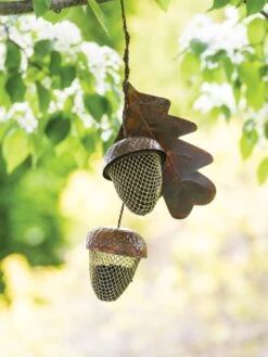 Acorn Bird Feeder -Eco Garden Shop 8599573 14075 tif