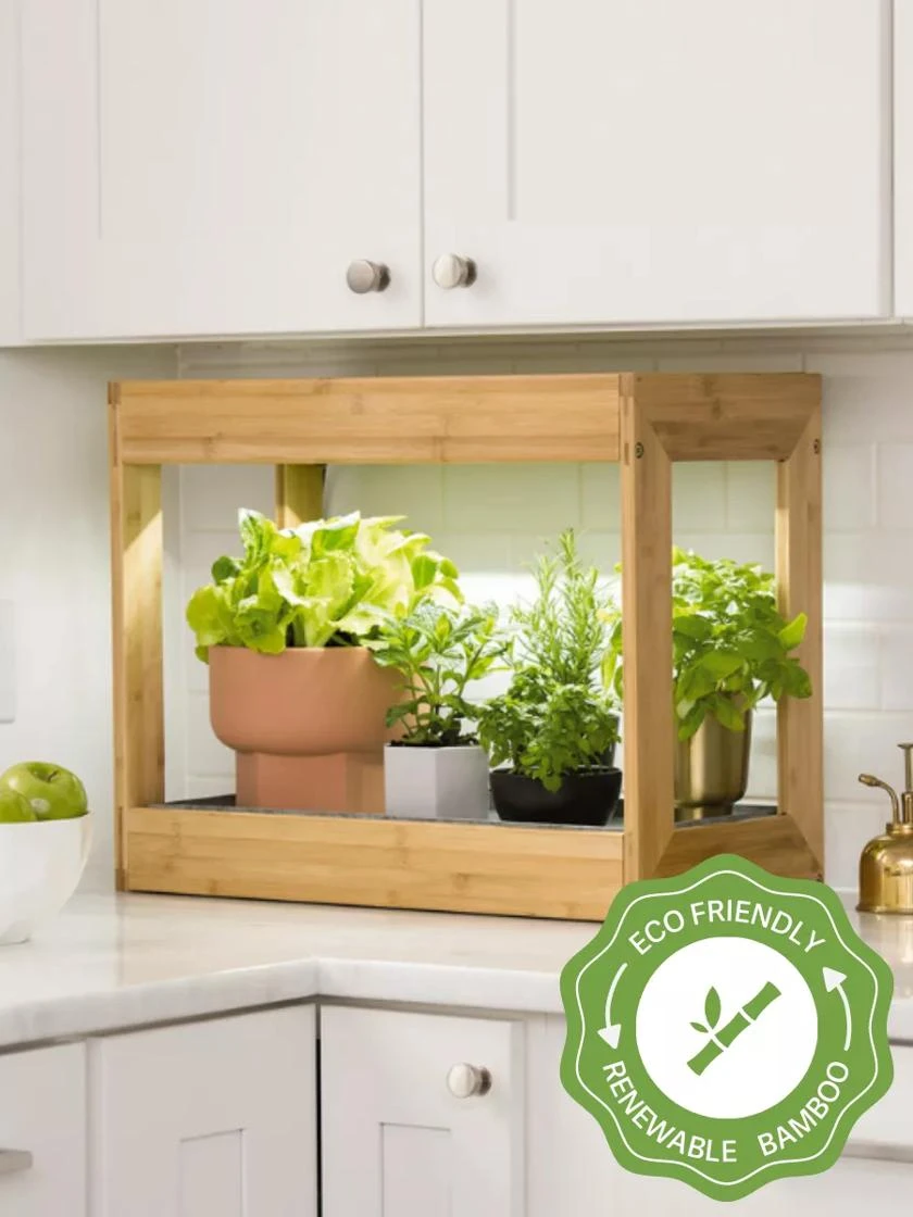 Bamboo Mini LED Grow Light Garden 3 Bamboo Mini LED Grow Light Garden