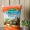 Espoma Cactus Potting Mix, 4 Quart -Eco Garden Shop 8599789 18448 tif