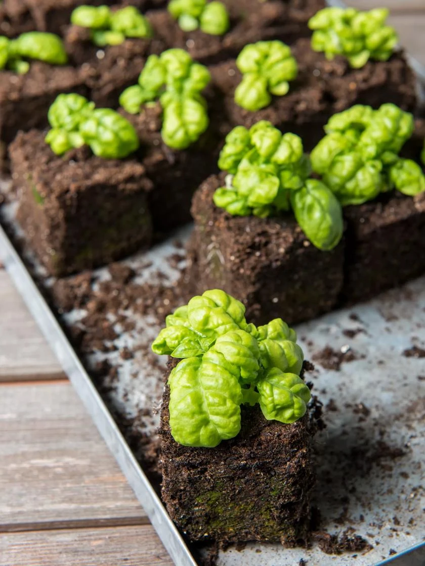 Soil Blocker, 4 Cell 7 Soil Blocker, 4 Cell - Image 5