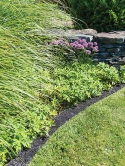 Recycled Rubber Mulch Edging, 12’ X 6” -Eco Garden Shop 8599854 0897 tif