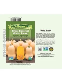 Brulee Butternut Squash Organic Seeds -Eco Garden Shop 8599867 03v