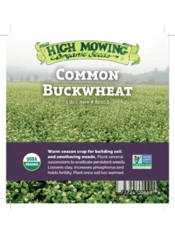 Common Buckwheat Organic Seeds -Eco Garden Shop 8599871 04v