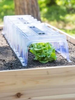 Cool Weather Row Cloche Centers, Set Of 3 -Eco Garden Shop 8599960 1105 tif