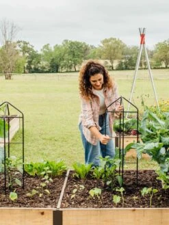 Zenith Folding Garden Supports, Set Of 2 -Eco Garden Shop 8600073 324 tif