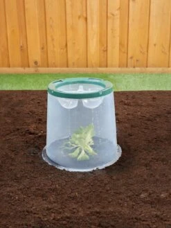 Sunny Forcing Cloches, Set Of 3 -Eco Garden Shop 8600075 02V tif