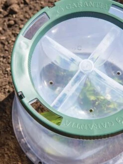 Sunny Forcing Cloches, Set Of 3 -Eco Garden Shop 8600075 0742 tif