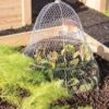 Chicken Wire Cloche With Extension -Eco Garden Shop 8600116 0482 tif