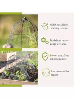 Chicken Wire Cloche With Extension -Eco Garden Shop 8600116 3