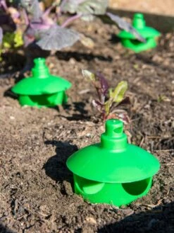 Slug And Snail Traps, Set Of 3 -Eco Garden Shop 8600120 1788