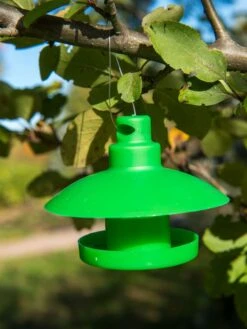 Slug And Snail Traps, Set Of 3 -Eco Garden Shop 8600120 1792