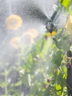 Landscape 4-Way Cooling Mist Kit, 50' -Eco Garden Shop 8600154 0695 tif