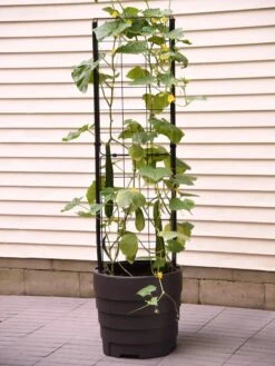 Gardener’s Victory Self-Watering Planter Garden With Vine Trellis 11 Gardener’s Victory Self-Watering Planter Garden With Vine Trellis -Eco Garden Shop 8600177 9876 tif