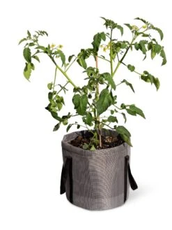 Reinforced Colorful Grow Bags -Eco Garden Shop 8600229 0944 tif