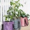 Reinforced Colorful Grow Bags -Eco Garden Shop 8600229 19957 tif
