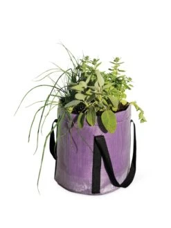 Reinforced Colorful Grow Bags -Eco Garden Shop 8600230 0948 tif