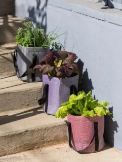 Reinforced Colorful Grow Bags -Eco Garden Shop 8600230 20001 tif