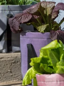 Reinforced Colorful Grow Bags -Eco Garden Shop 8600230 20013 tif