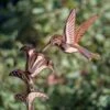 Hummingbird Cottage Copper Weathervane With Roof Mount