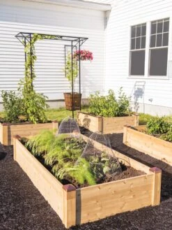 Copper Cap Raised Beds -Eco Garden Shop 8600497 0530 tif
